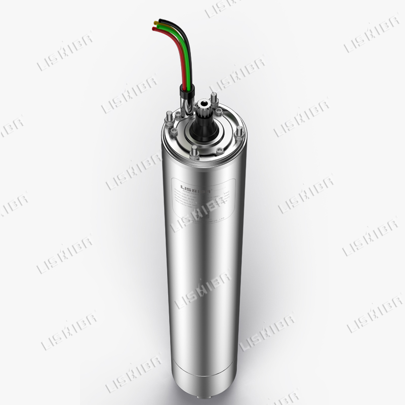 力士霸泵業(yè)詳解什么是潛水電機(jī)？(圖1)